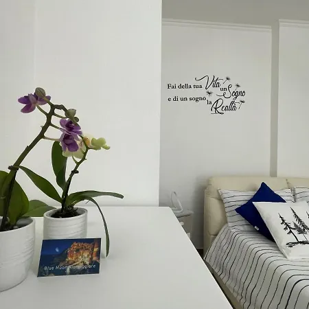Blue Moon Apartment